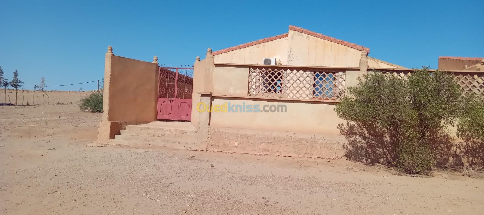 Vente Terrain Agricole Tiaret Djebilet rosfa