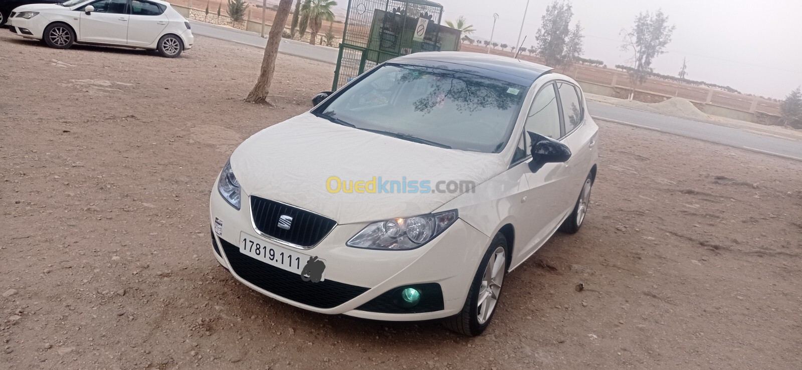 Seat Ibiza 2011 Loca