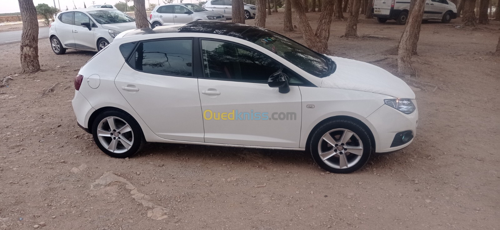 Seat Ibiza 2011 Loca