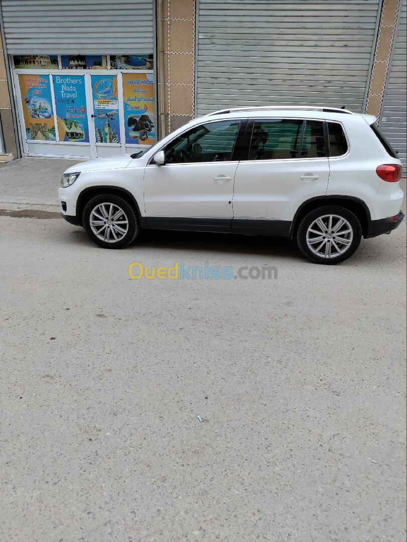 Volkswagen Tiguan 2011 Carat +