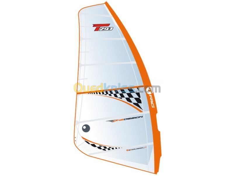 Bic Sport / Tahe planche a voile Techno 293 One Design DT 