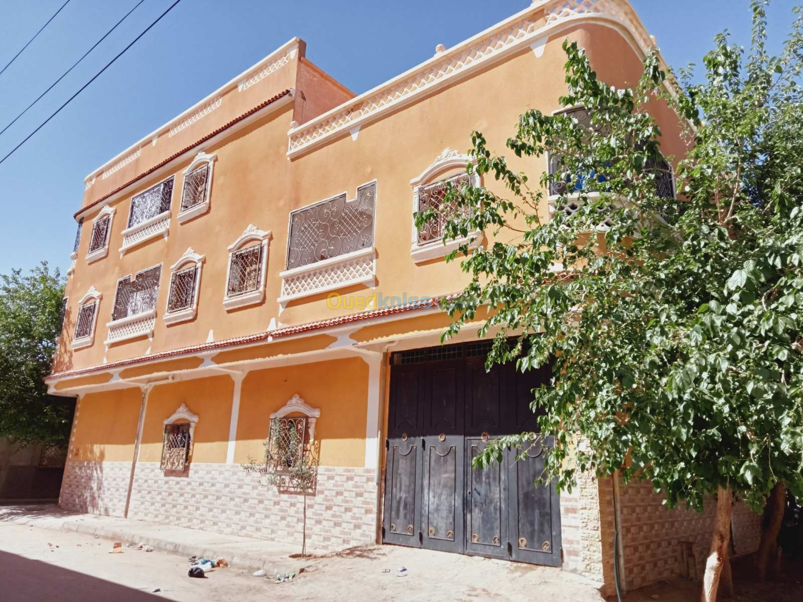 Vente Villa Djelfa Ain oussara