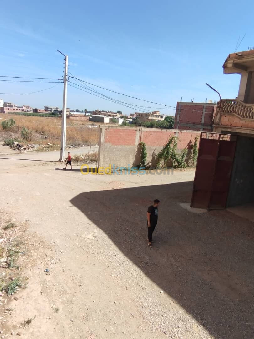 Location Hangar Boumerdès Khemis el khechna