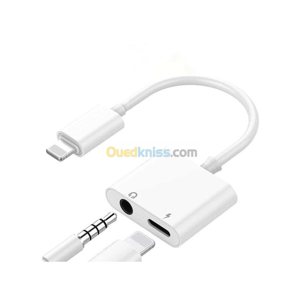 HIDIZS LT03 Adaptateur Lightning Mâle vers USB-C Femelle Plaqué Or