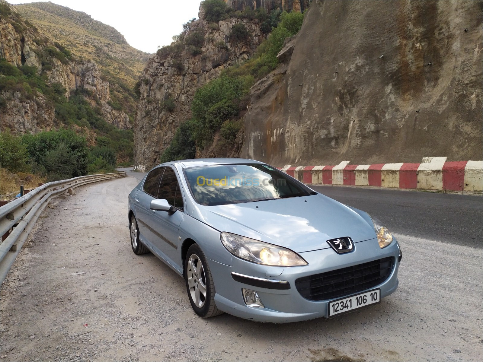 Peugeot 407 2006 407