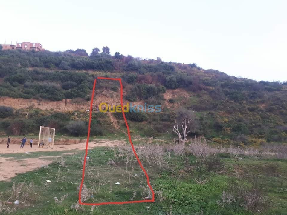 Vente Terrain Jijel Jijel