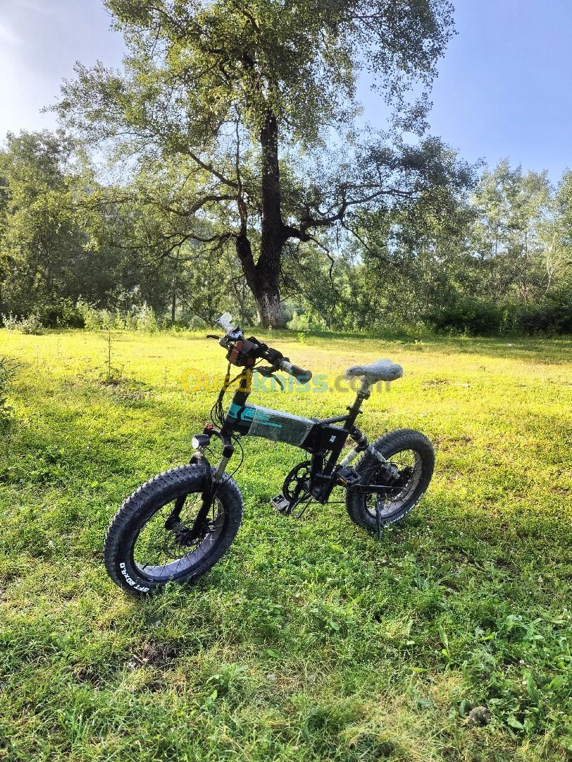 Fiido Electric Bike M1 pro Velo Electric 