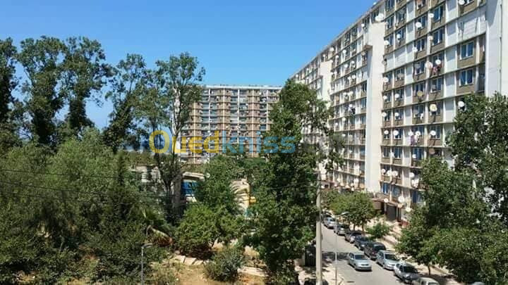 Vente Appartement F5 Alger Bachdjerrah