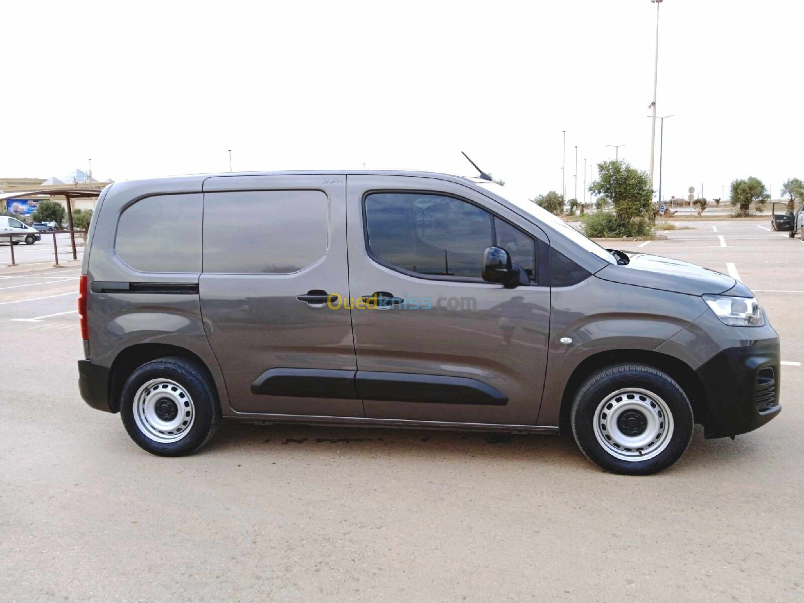 Fiat Doblo 2023 Professionnel