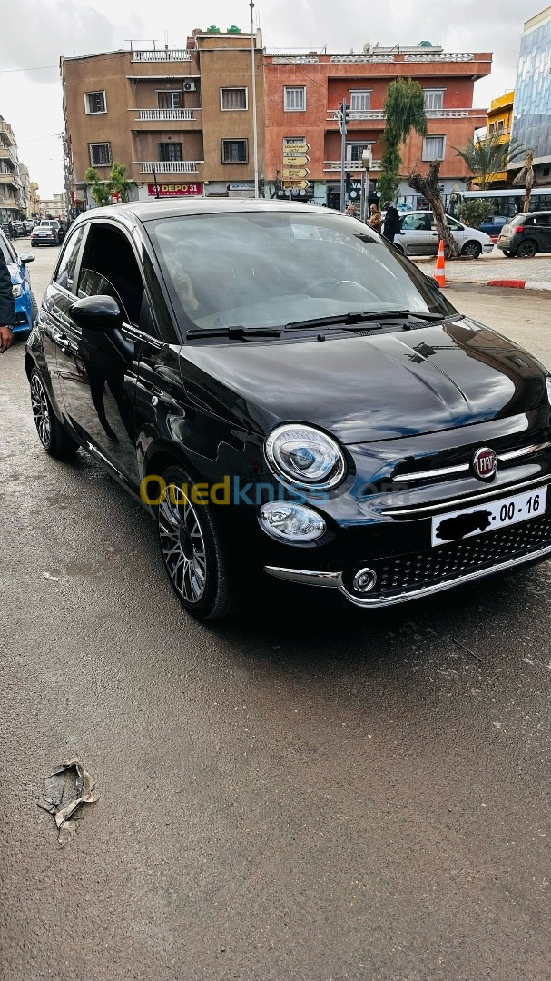 Fiat 500 2024 Dotcevita