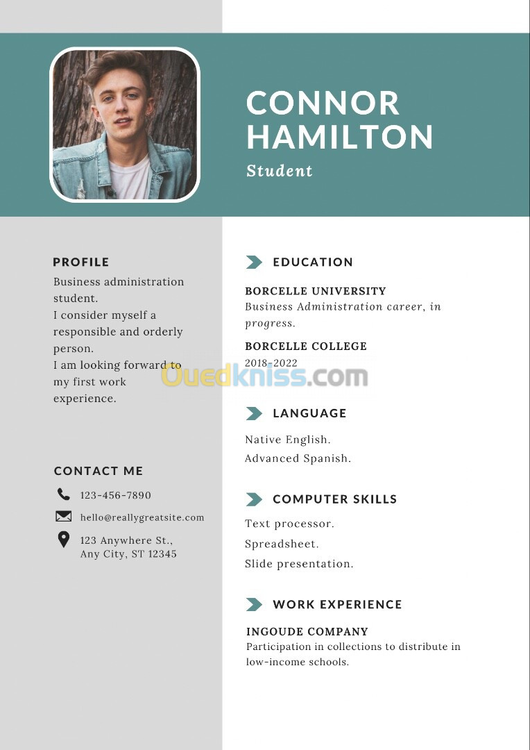 Creation de CV professionnels 