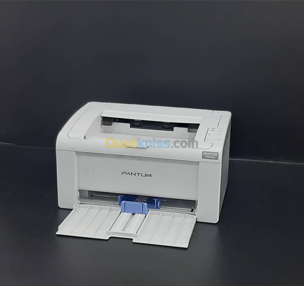 imprimante pantum p2509 