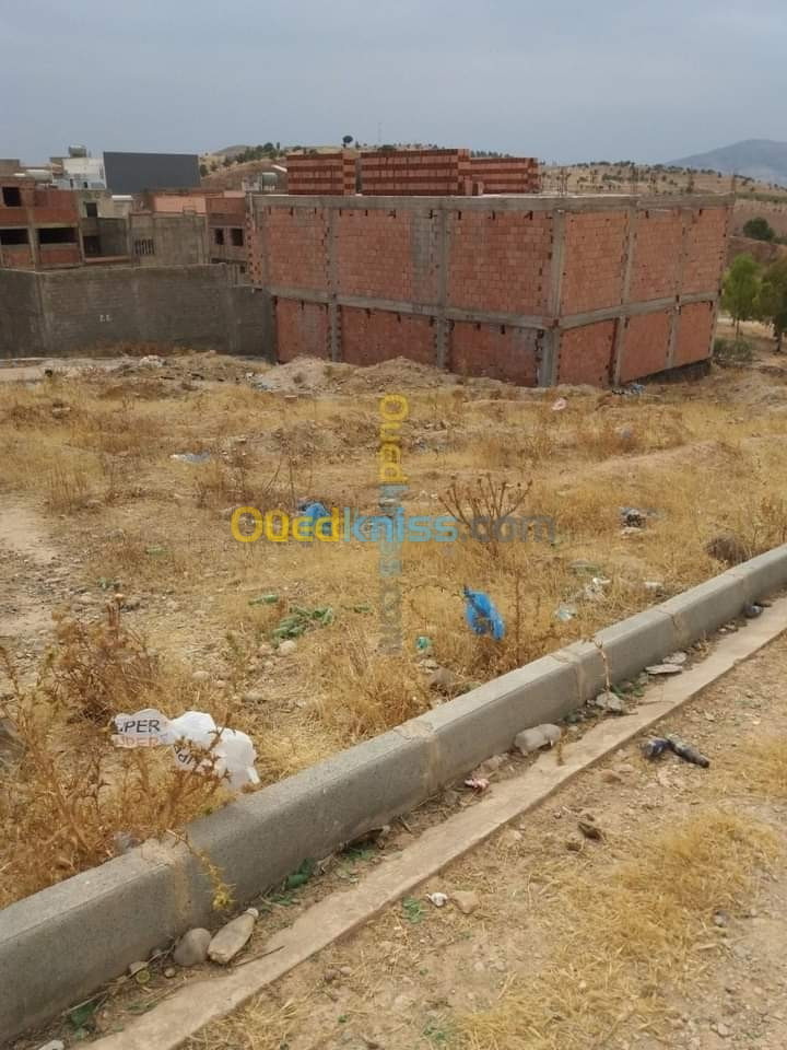 Vente Terrain Tlemcen Maghnia