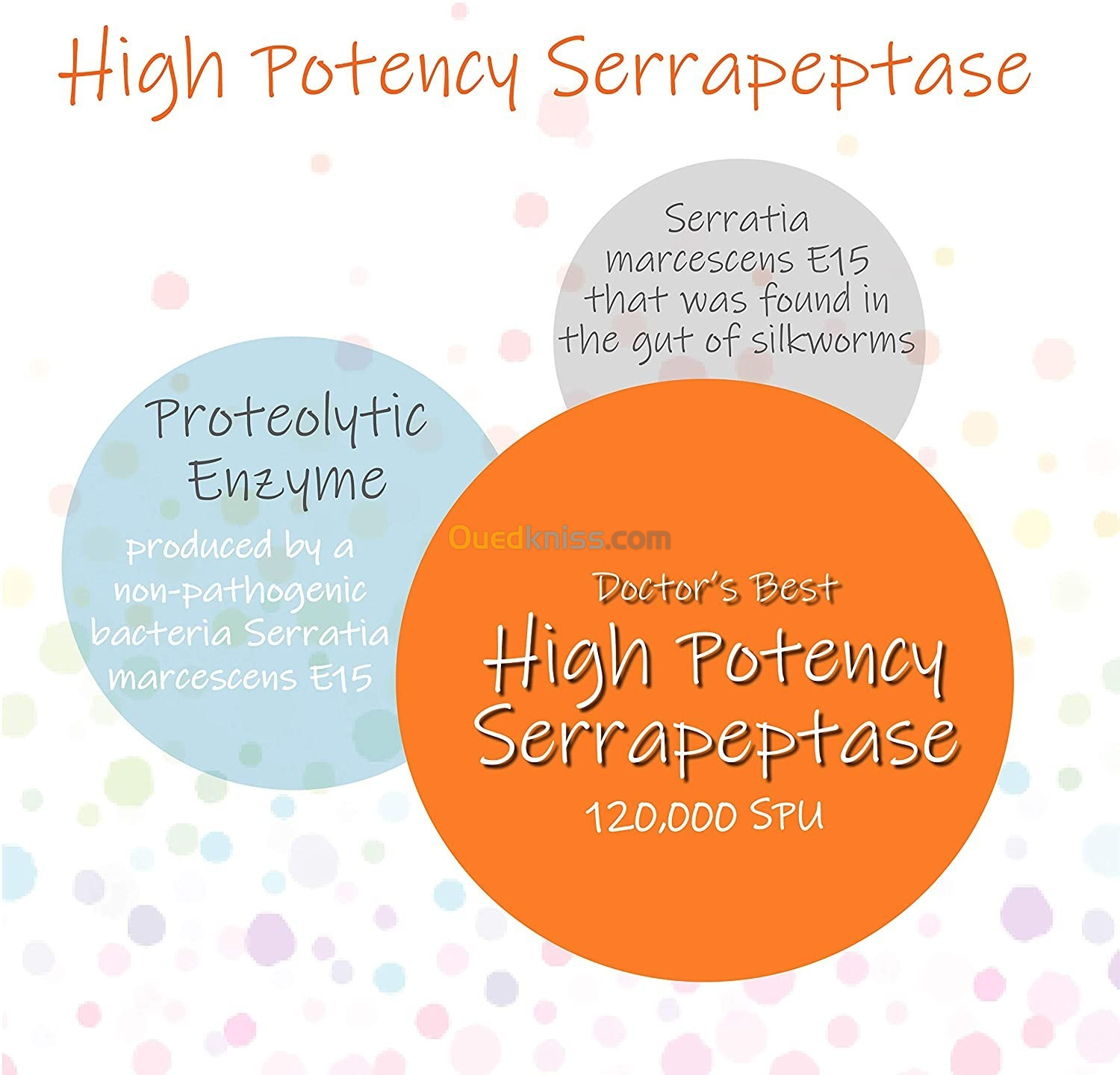 Serrapeptase Haute Puissance