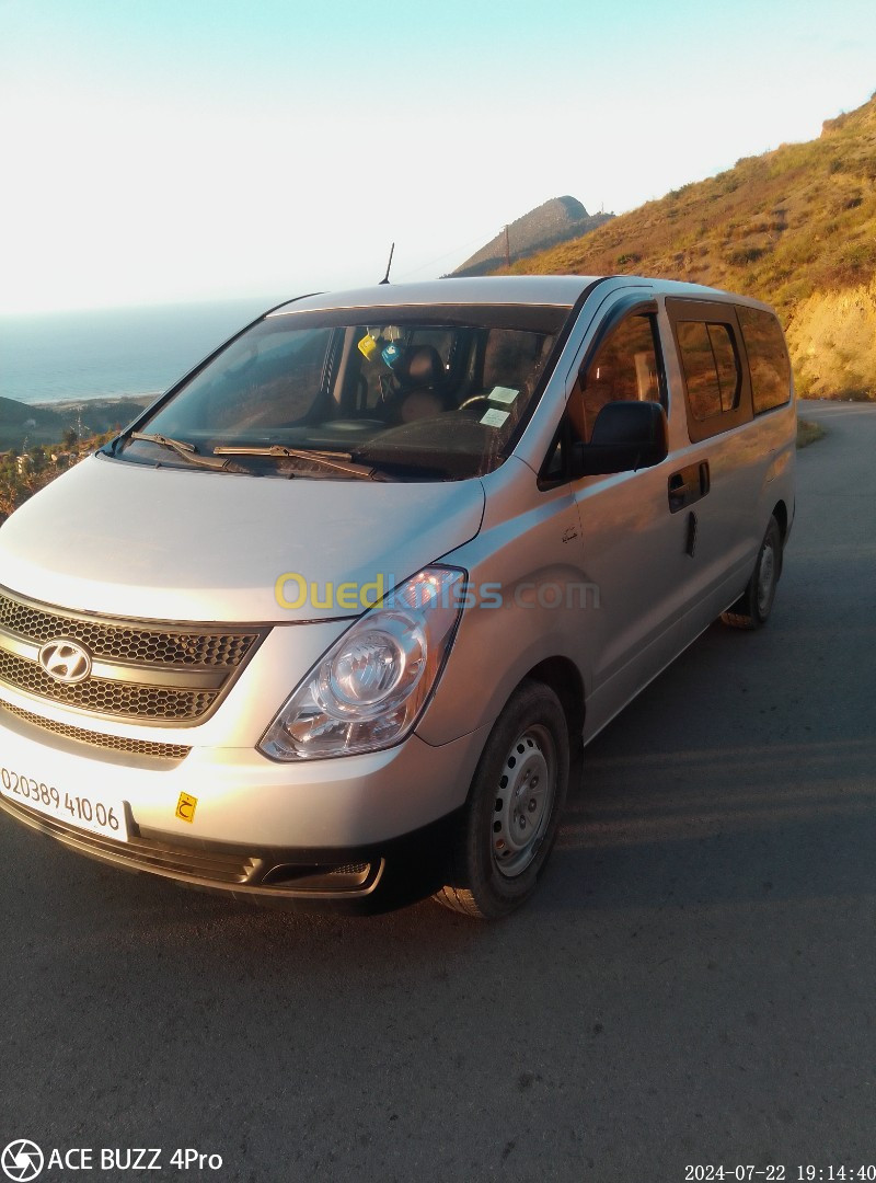 Hyundai H1 2010