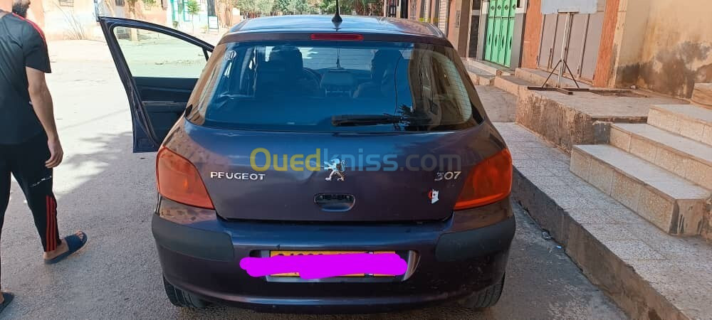 Peugeot 307 2004 307