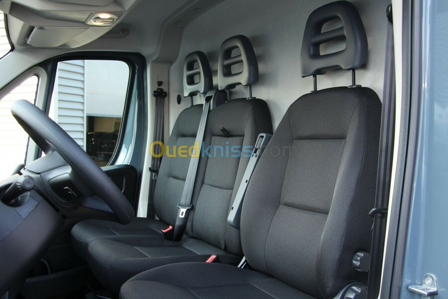 Fiat Professional Ducato 2023 