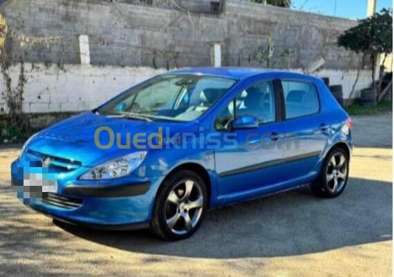 Peugeot 307 2002 307