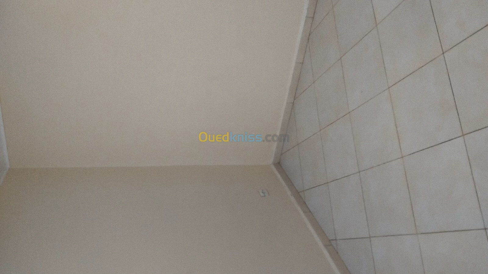 Location Appartement F2 Blida Blida