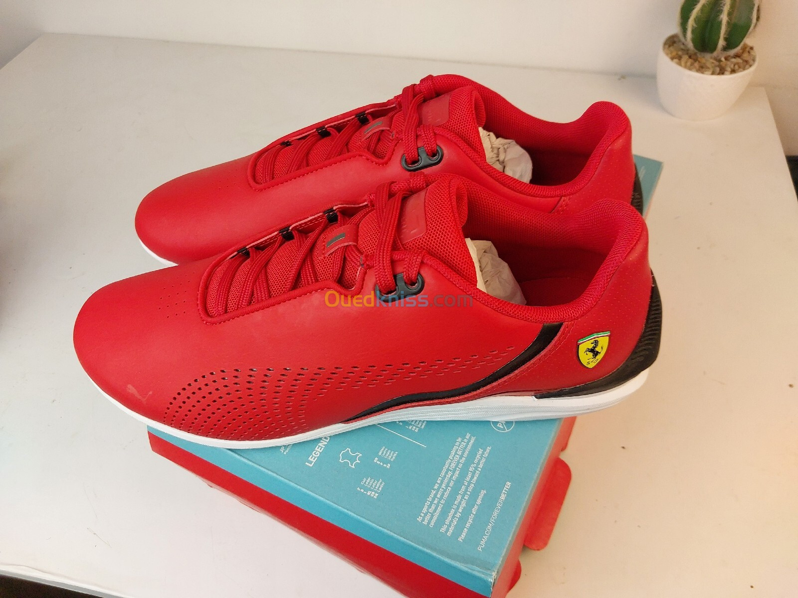 Puma ferrari