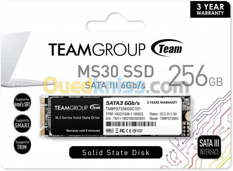 DISQUE SSD M2 TEAMGROUP MS30 256GB