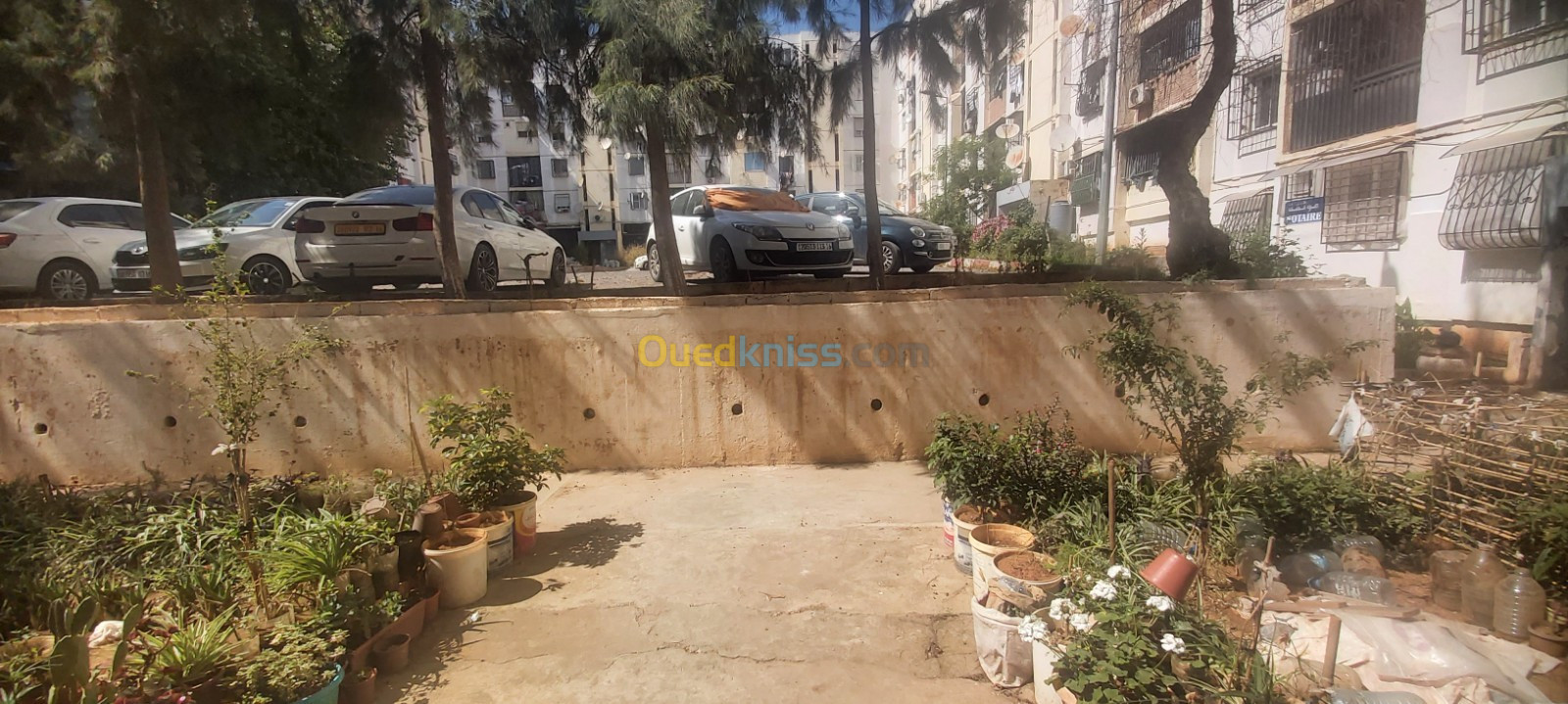 Location Appartement F3 Alger Birkhadem