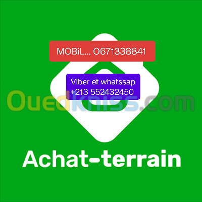 Cherche achat Terrain Djelfa Djelfa