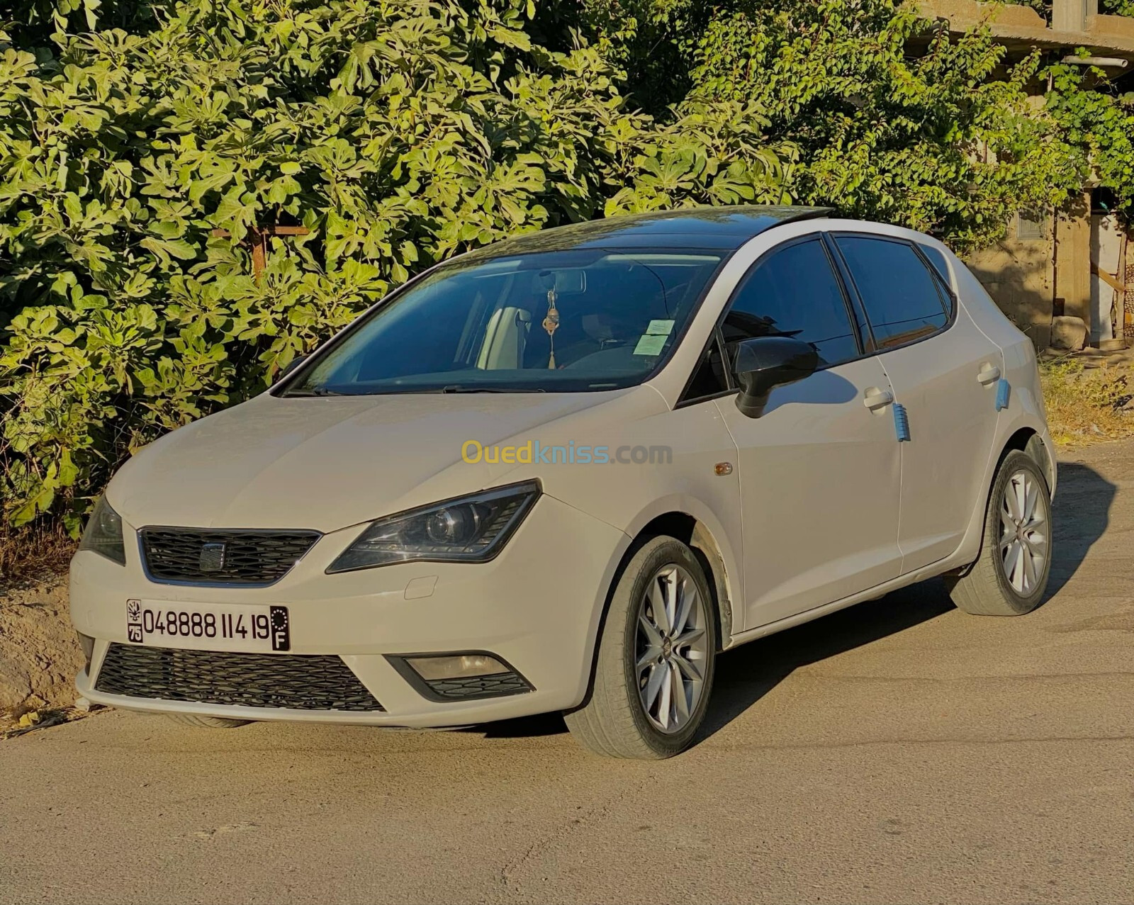 Seat Ibiza 2014 Sport Edition