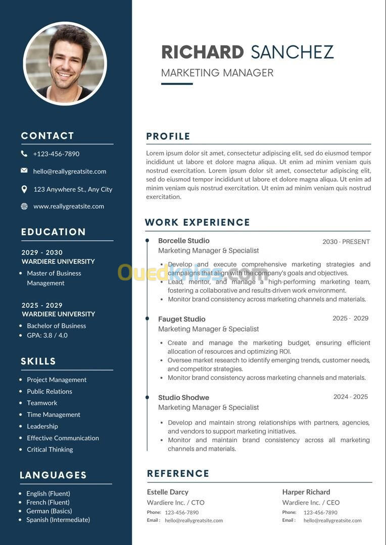 CV Professionnel