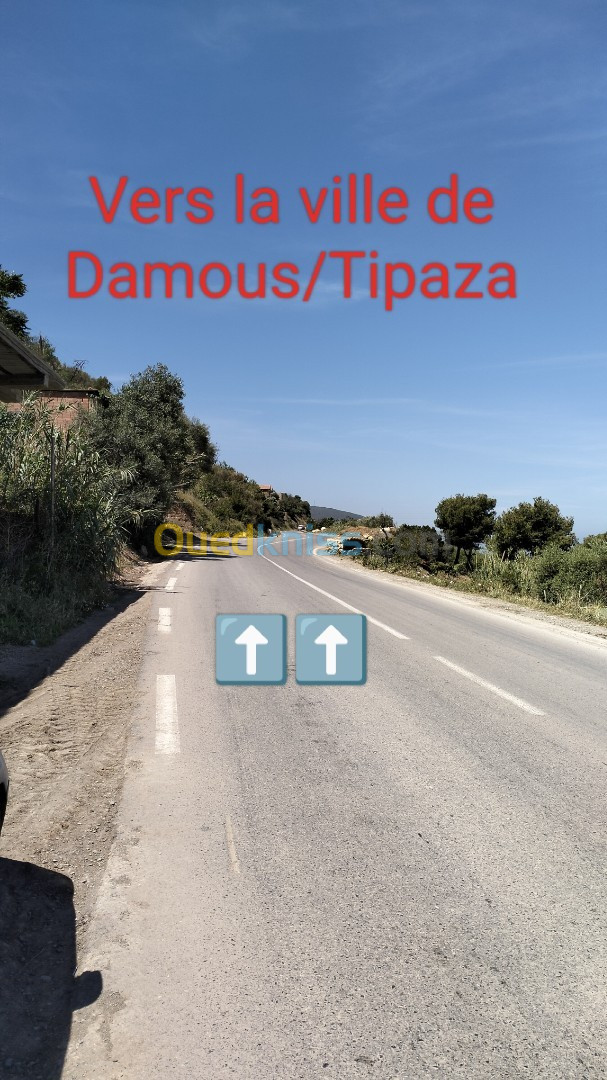 Location Local Tipaza Larhat