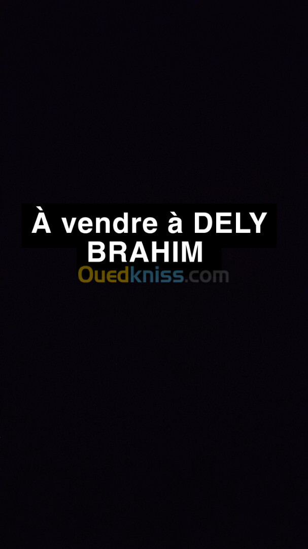 Vente Local Alger Dely brahim