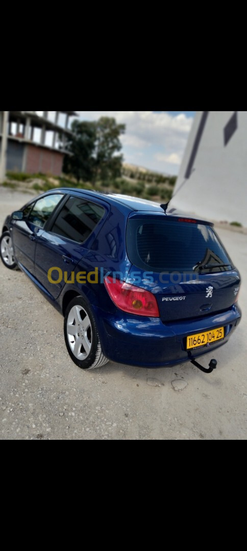 Peugeot 307 2004 