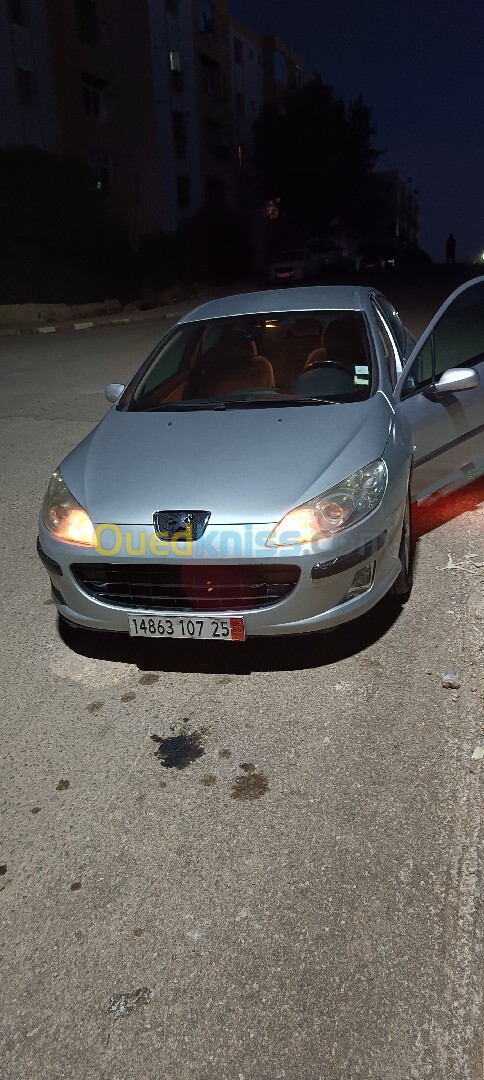 Peugeot 407 2007 407