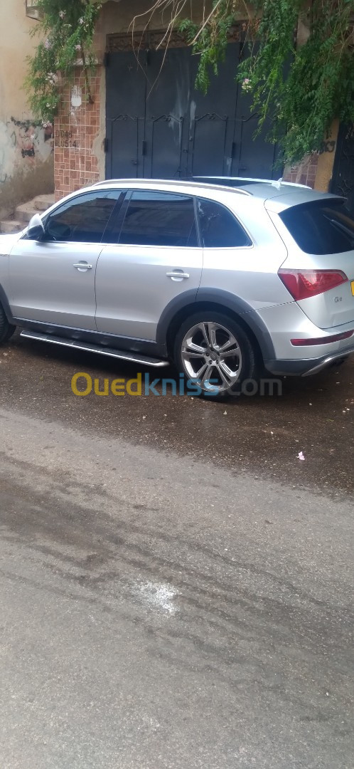 Audi Q5 2010 Off Road Pack Tech