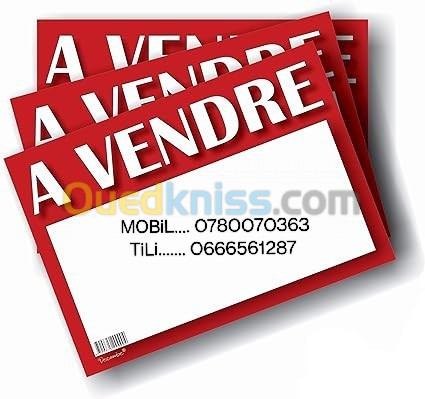 Vente Terrain Alger Baraki