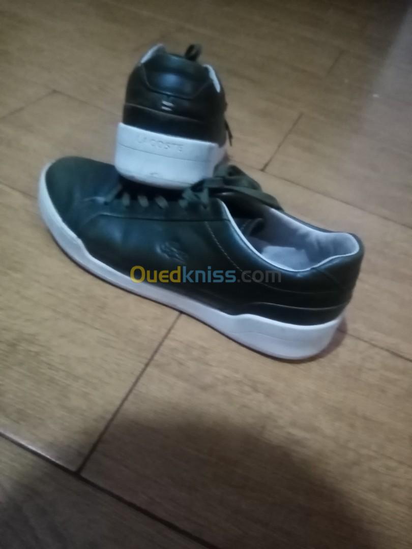 Basket best sale lacoste ouedkniss