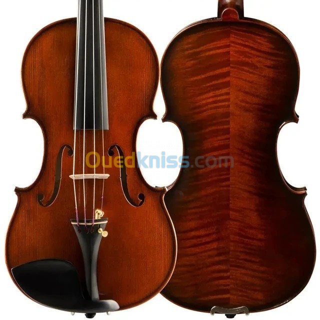 Enseignant de Violon 