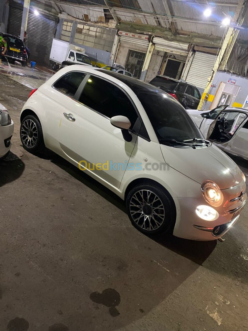 Fiat 500 2023 Doltchi vita+