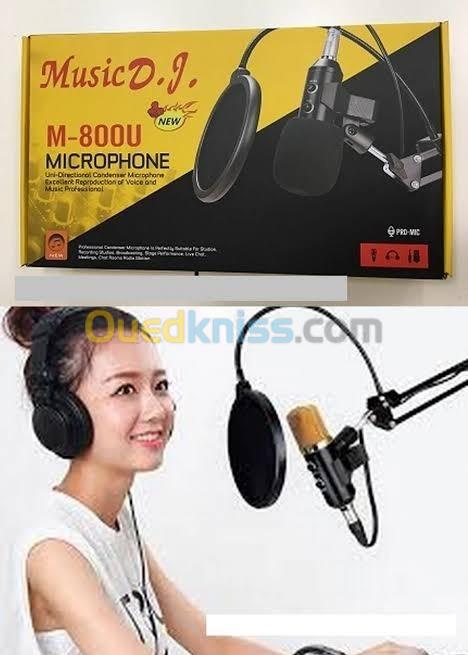 Kit Microphone Professional Condensateur Avec Micro - M-800U 