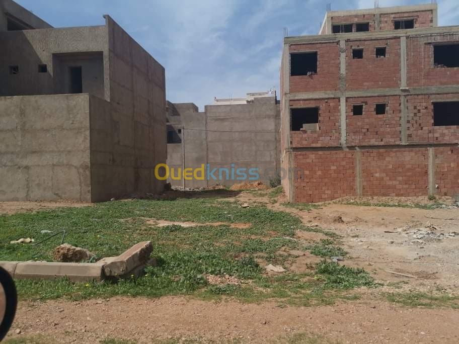 Vente Terrain Mostaganem Mostaganem