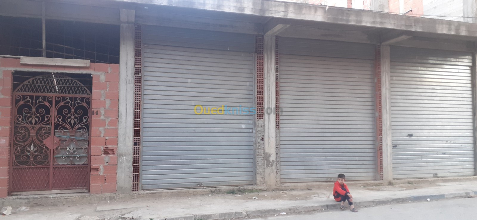 Location Hangar Jijel Jijel