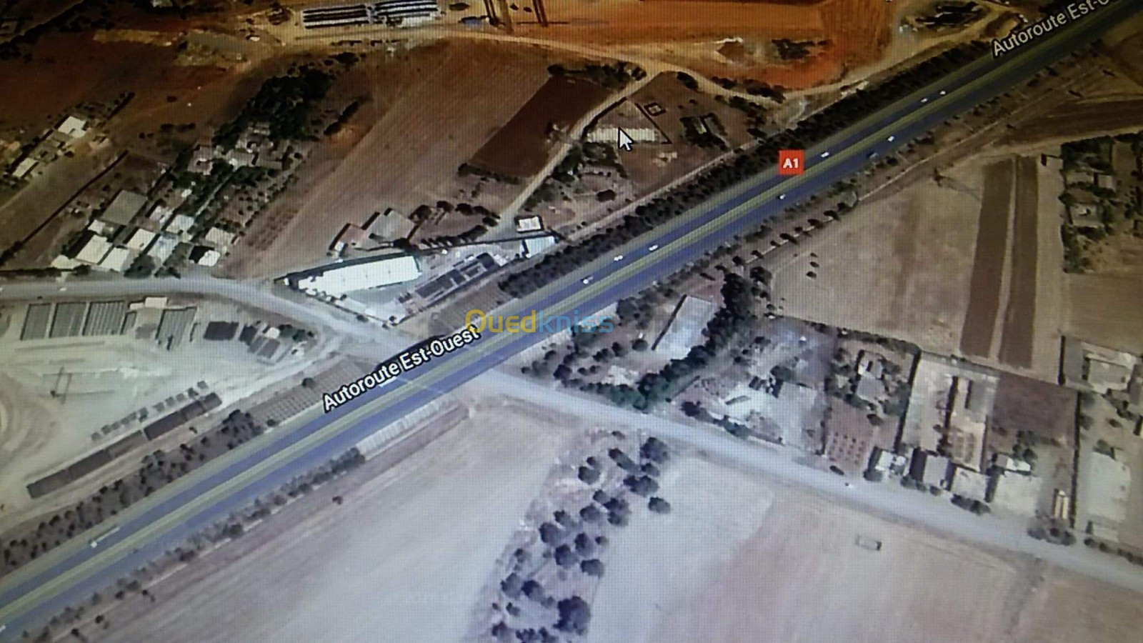 Location Hangar Aïn Defla Khemis miliana