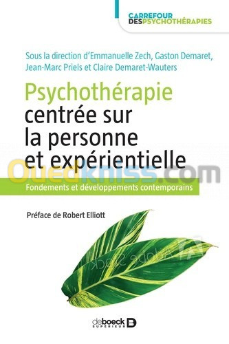 Psychothérapie centrée sur la personne et expérientielle - Fondements et développements contemporains - Grand Format