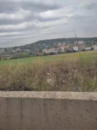 Vente Terrain Tizi ouzou Azazga