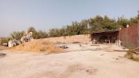 land-rent-oran-hassi-bounif-algeria