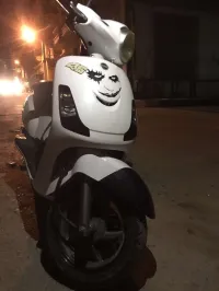 Sym Sym Fiddle 2 2019