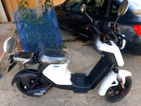 motos-et-scooters-سكوتار-ليكتريك-niu-دراجة-كهربائية-2024-guelma-algerie