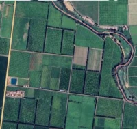 Vente Terrain Agricole Blida El affroun