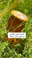 alimentaires-عسل-جبلي-متعدد-الأزهار-من-أعالي-جبال-جرجرة-haizer-bouira-algerie