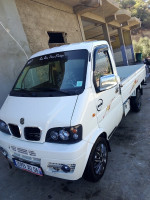 camion-dfsk-mini-truck-2012-sidi-ayad-bejaia-algerie